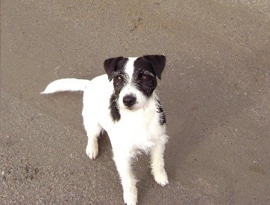 här har vi lilla Mimmi